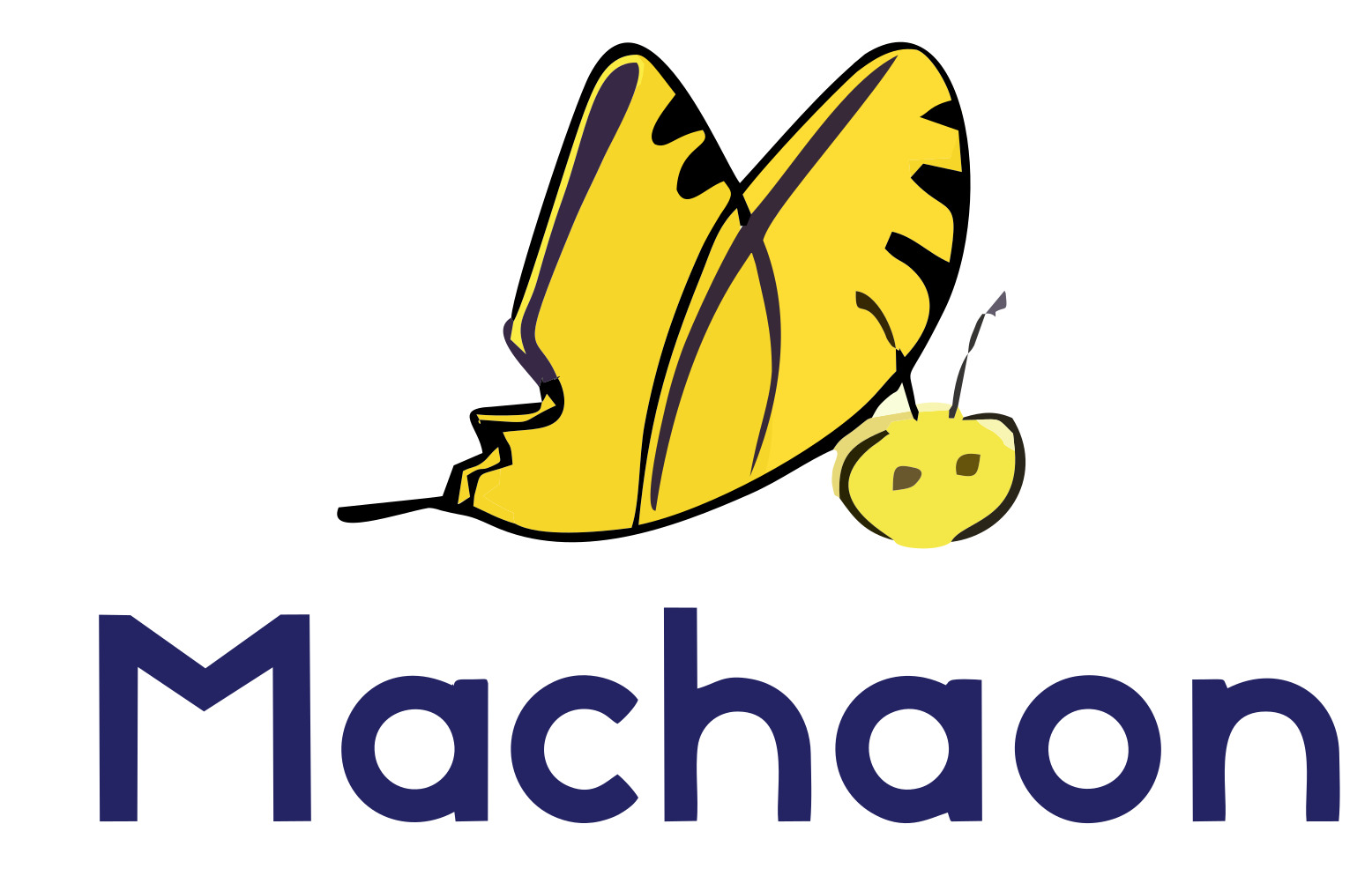 Machaon — Fabricante de granza LDPE reciclada